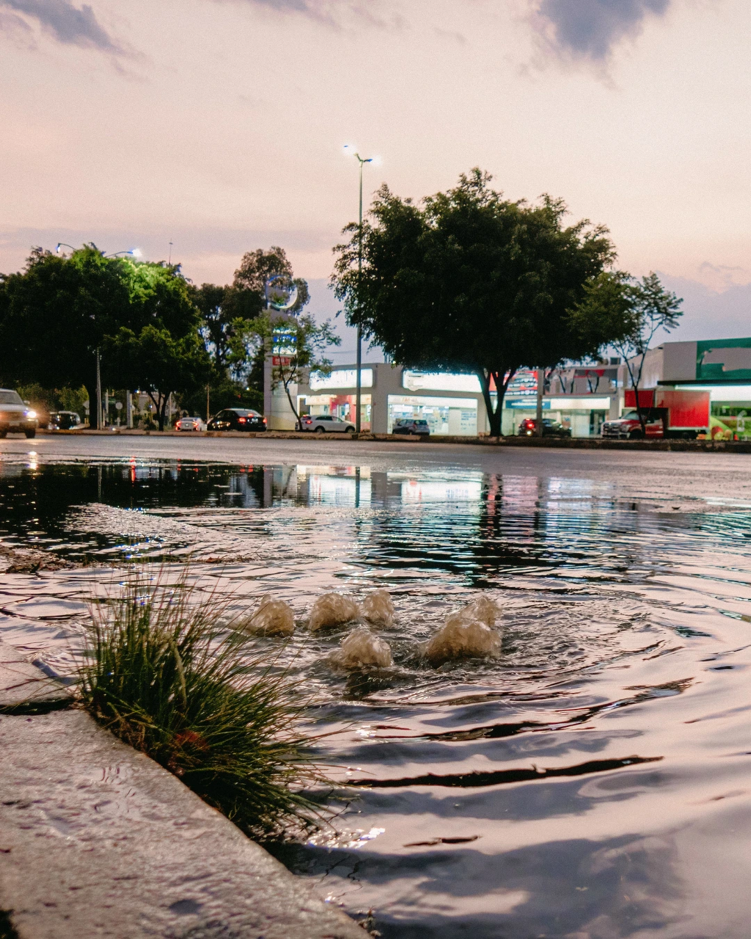 En oversvømt gate med boblende vann som kommer opp fra et avløp, antyder en akutt vannskade. Gresset vokser i vannkanten, mens trær, biler og bygninger er synlige i bakgrunnen i skumringen.