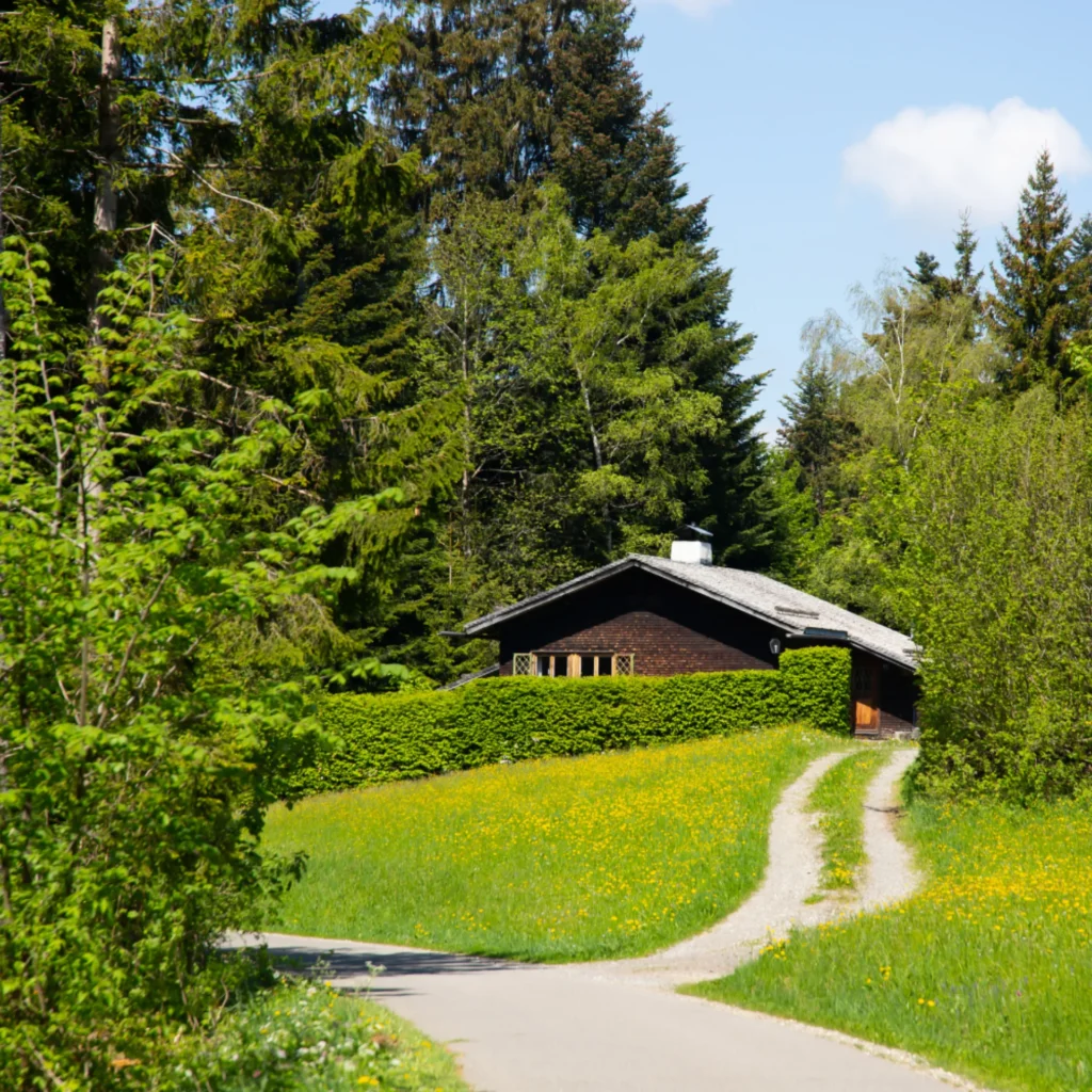 Et lite trehus med grått tak ligger mellom tette, grønne trær, med en gruslagt innkjørsel som svinger seg gjennom en gressplen fylt av gule blomster under en blå himmel.